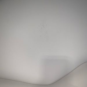 Meet your Posher, Desiree